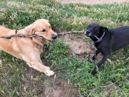 Moose and Keisha