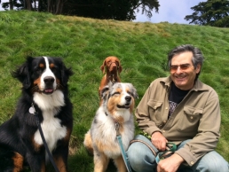 Adam W-J dogs