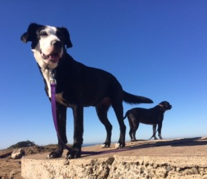 Lucy and Maggie